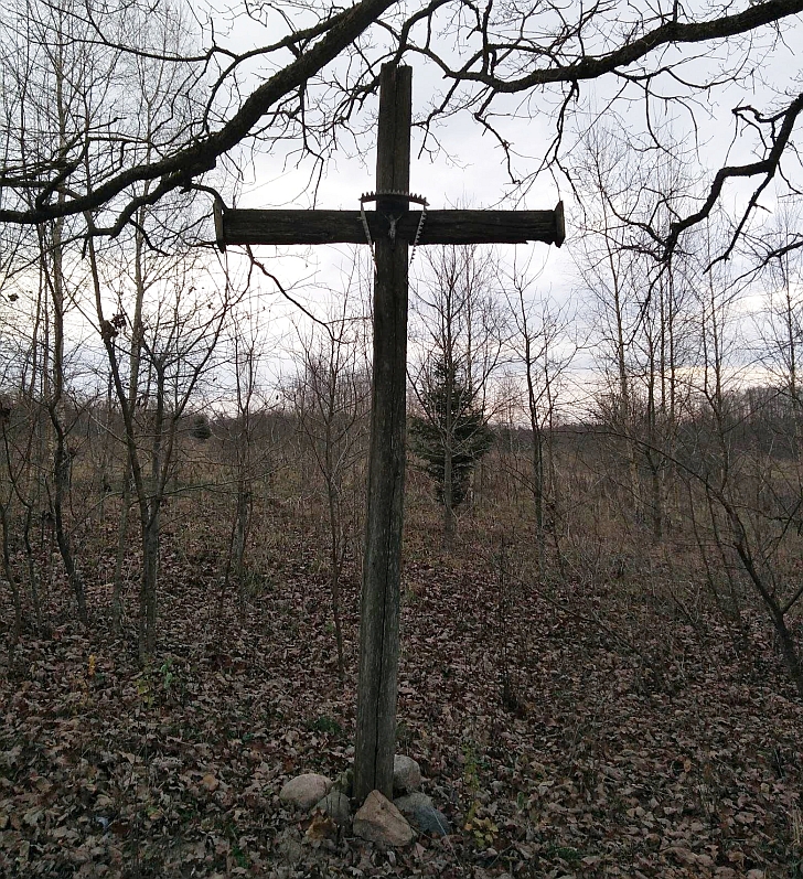 Sudokiai. Kryžius.
