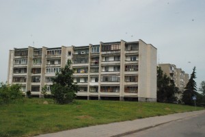 DSC_7025 Nors Širvintos palyginti nedidelis miestas, tačiau komunalininkams rūpesčių - per akis.