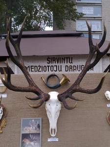 Hendriko Adomavičiaus trofėjus buvo eksponuojamas Rudens šventės metu, Širvintų medžiotojų draugijos stende. Hendriko Adomavičiaus trofėjus buvo eksponuojamas Rudens šventės metu, Širvintų medžiotojų draugijos stende.