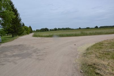 DSC_0780.JPG