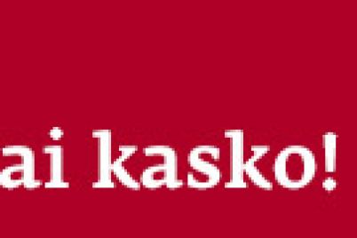 ERGO_KASKO_sirvinta.net_728x90px.jpg