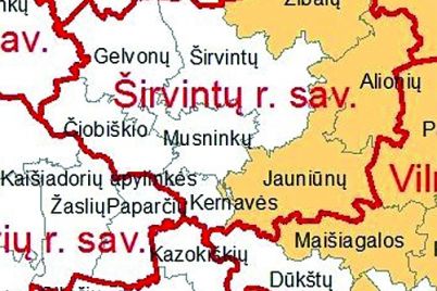 alioniu.jpg