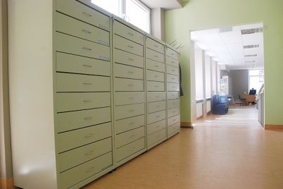bibl1.jpg