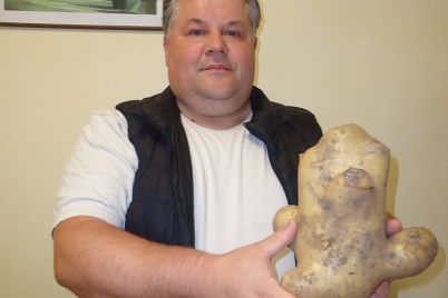 bul7281.jpg