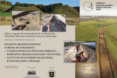 e_plakatas_seminaras728.jpg