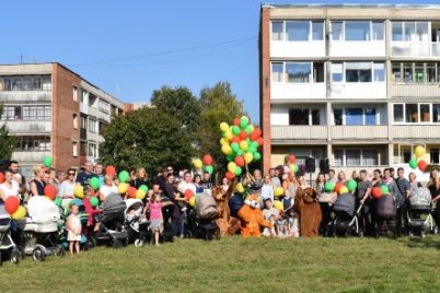 image_veb_00115.jpg
