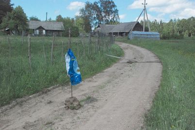 kel14.jpg