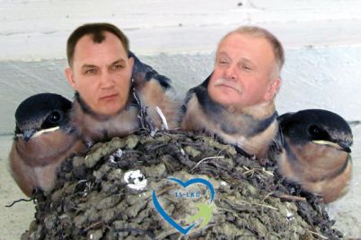 kregzdutes.jpg