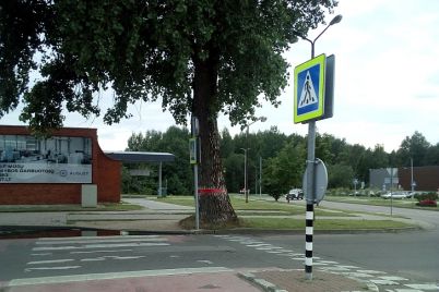 medis728.jpg