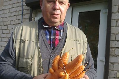 morka1.jpg