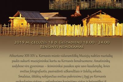 muziejunaktis728.jpg