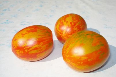 pomidorai.jpg