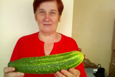 sus1-1.jpg