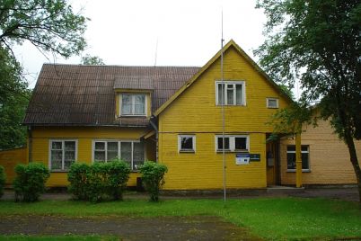 zib1_600.jpg