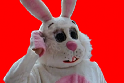 zuika.png