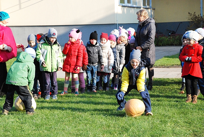 Moliūgų ridenimo varžybos. Moliūgų ridenimo varžybos.