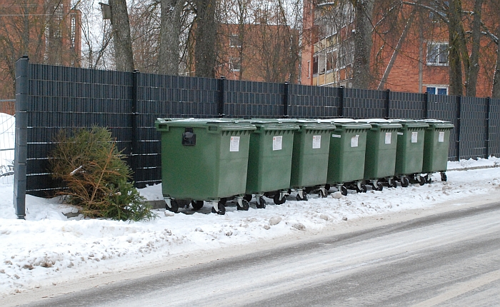 Prie gražiai išrikiuotų konteinerių labai „tinka“ žaliaskarės.