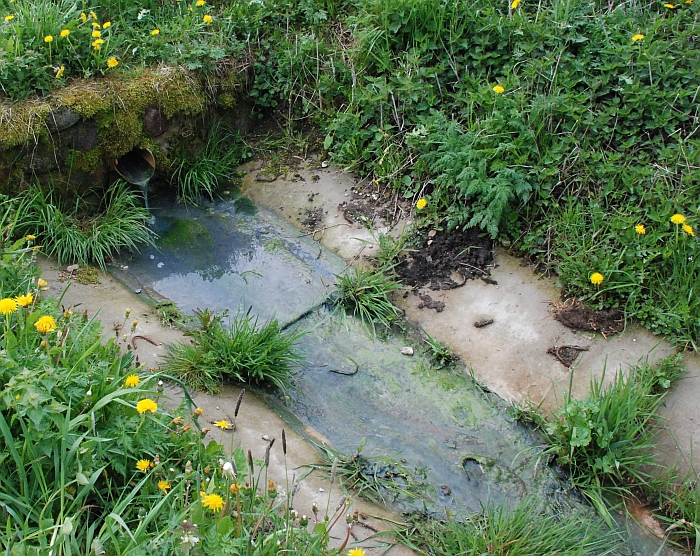 Dabartinis vaizdas darosi panašus į tą, kurį buvo galima matyti prieš metus, 2013-ųjų gegužę... Dabartinis vaizdas darosi panašus į tą, kurį buvo galima matyti prieš metus, 2013-ųjų gegužę...