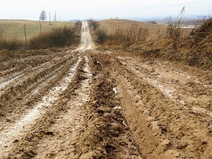 Čia - ne kelias į Skėterius, tačiau gyventojų atstovės pasakojimu, kartais vaizdas būna labai panašus. Santaka.lt nuotr.