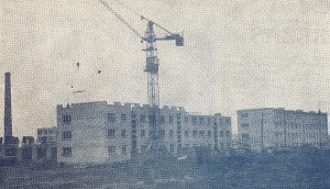 Pasakojama, kad šie du Širvintų daugiabučiai buvo pastatyti atvirkščiai pasukus brėžinius.
