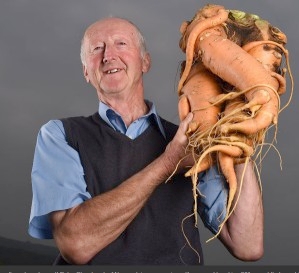 Sunkiausia pasaulyje morka, kurią prieš dvejus metus užaugino britas Peter'is Glazebrook'as (carrotmuseum.co.uk).