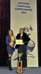 Su Čhihuahua Bendeross - trečias gražiausias 2015 m. šuo. Su Čhihuahua Bendeross - trečias gražiausias 2015 m. šuo.