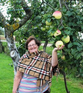 Šiais metais Širvintų kaime gyvenanti Nijolė Motiejūnienė džiaugiasi itin dideliais „Bogatyr“ veislės obuoliais. Esmė ta, kad obelis reikia tinkamai genėti...  