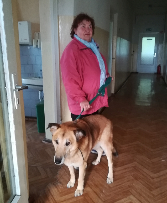 Atvedus šunį skiepyti jį turi palaikyti pats šeimininkas.