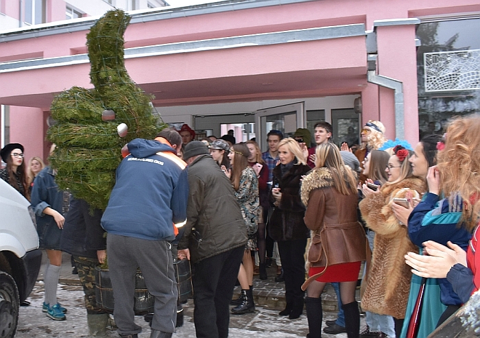 Dovana abiturientams - augantis patiktukas.