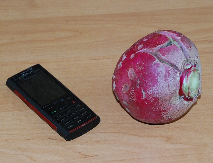 Taip ridikėlis milžinas atrodo greta 11 cm ilgio mobiliojo ryšio telefono „Nokia X2-00“.