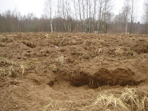 Toks laukas geriau tiktų karinėms pratyboms, o ne gyvulių ganiavai. Toks laukas geriau tiktų karinėms pratyboms, o ne gyvulių ganiavai.
