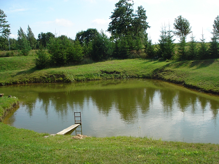 Netaisyklingos formos tvenkinys puošia sodybą. Netaisyklingos formos tvenkinys puošia sodybą.