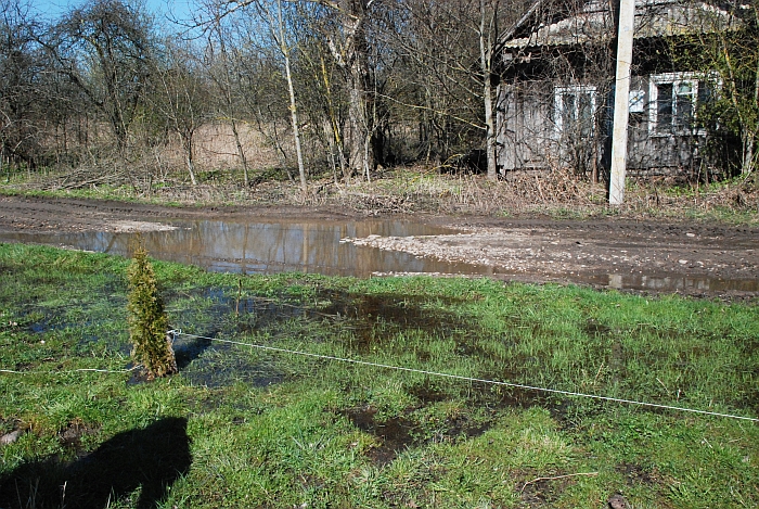 Kelio atkarpoje per Tilvikų kaimą galima karosiukų užveisti...
