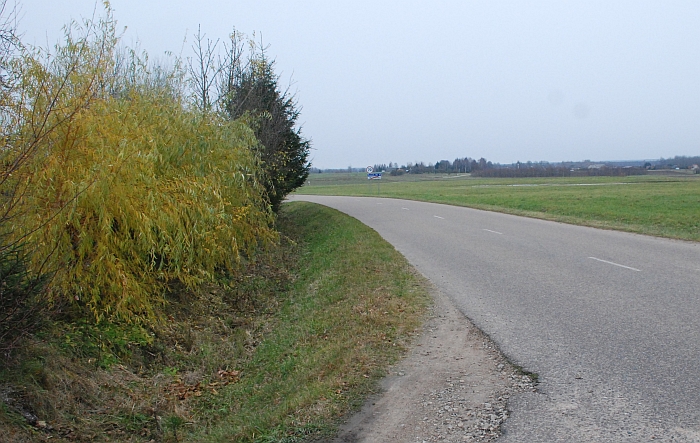 Vieniems jauniūniškiams ši gyva tvora trukdo saugiam eismui, kiti pavojaus neįžvelgia, jei laikomasi Kelių eismo taisyklių reikalavimų.