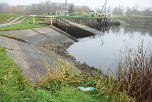 Netinkamai reguliuojant užtvankos lygį, 2012-ųjų pavasarį žuvo žuvų nerštas. 
