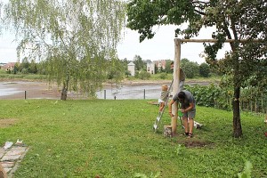 Tėčiai meistrauja baldus, vartelius, lauko žaidimo aikštelę, mamos tuo metu siuva žaislus, tapetuoja, dažo. Tėčiai meistrauja baldus, vartelius, lauko žaidimo aikštelę, mamos tuo metu siuva žaislus, tapetuoja, dažo.