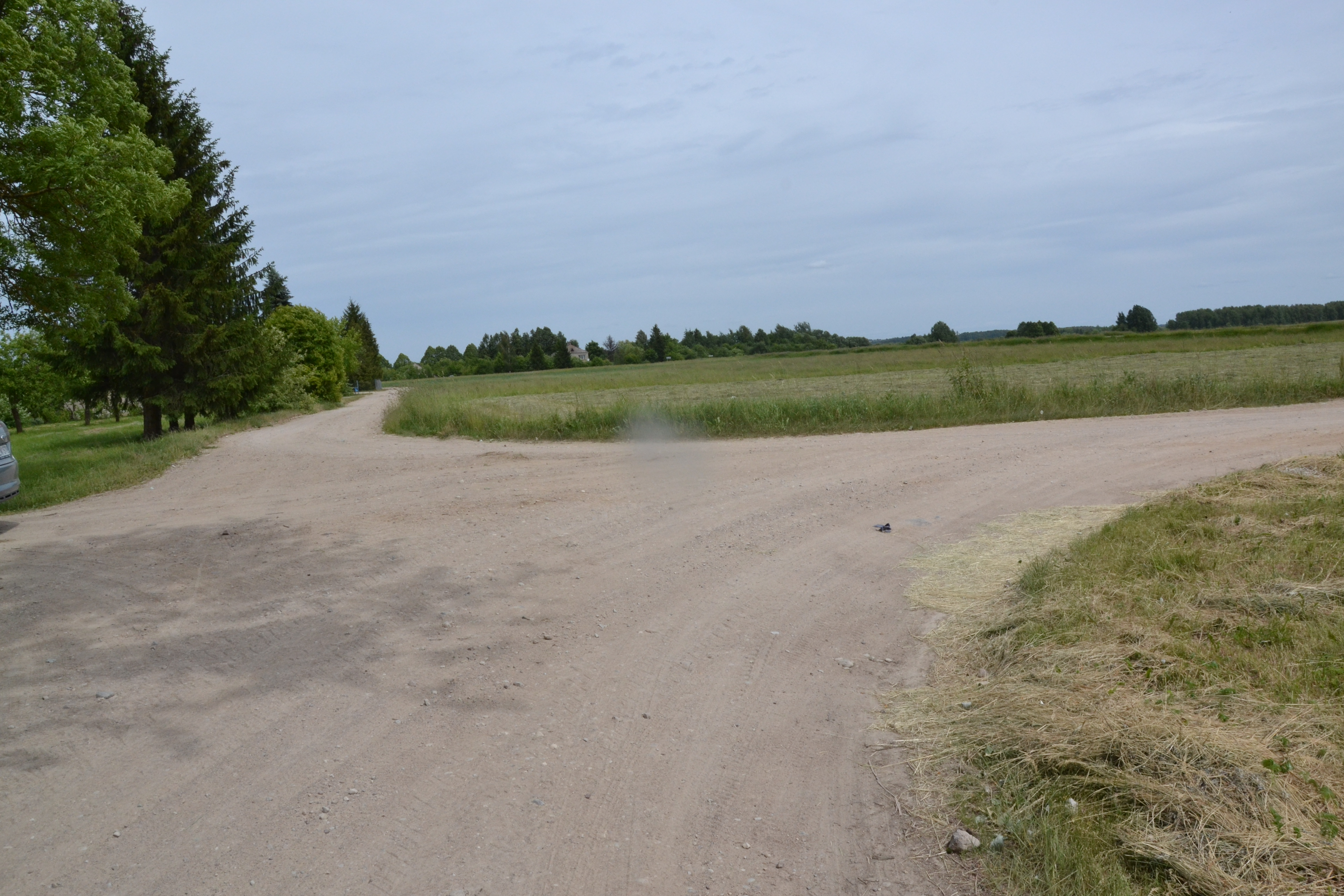 DSC_07803.JPG