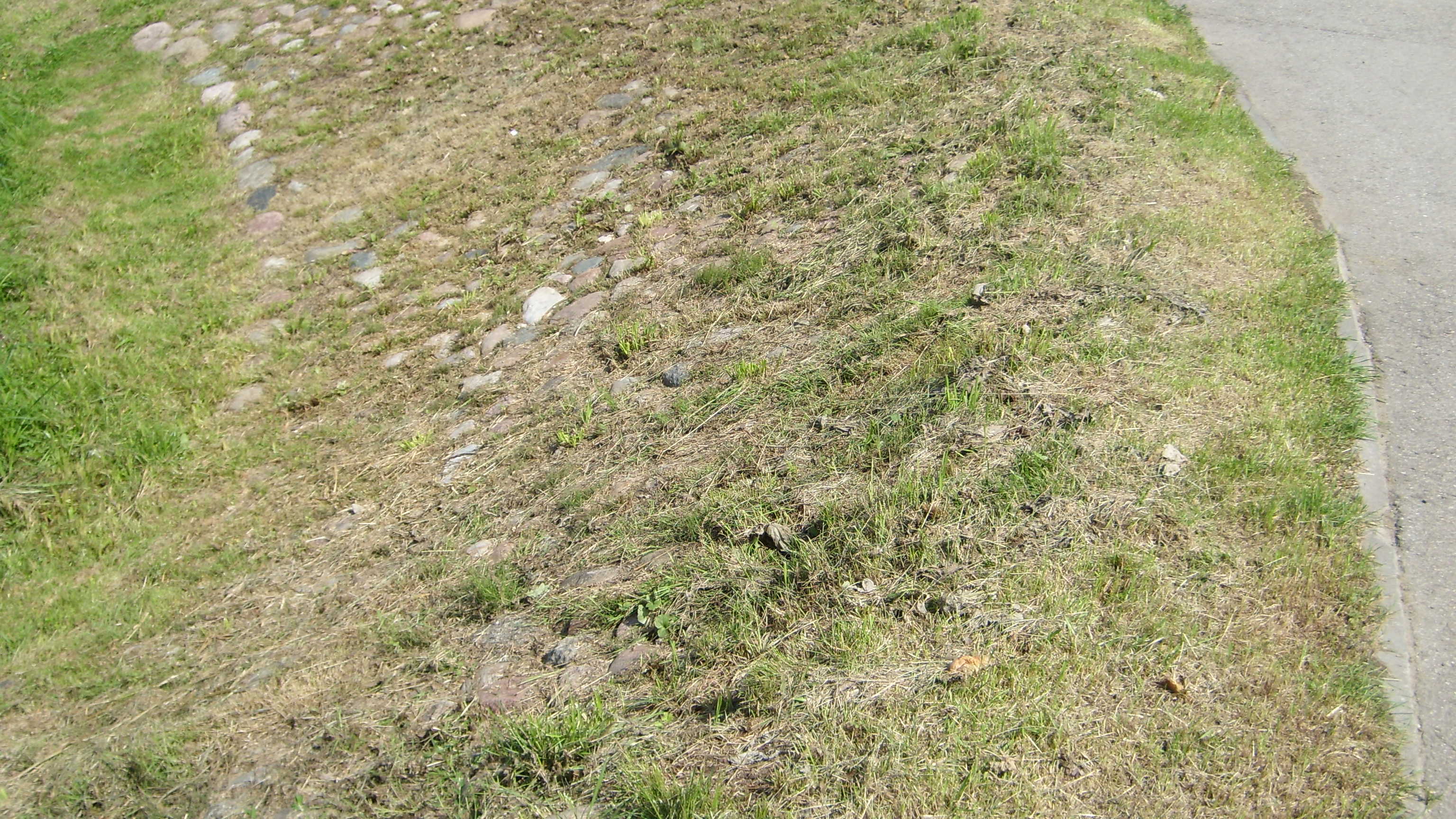 SL736897.JPG