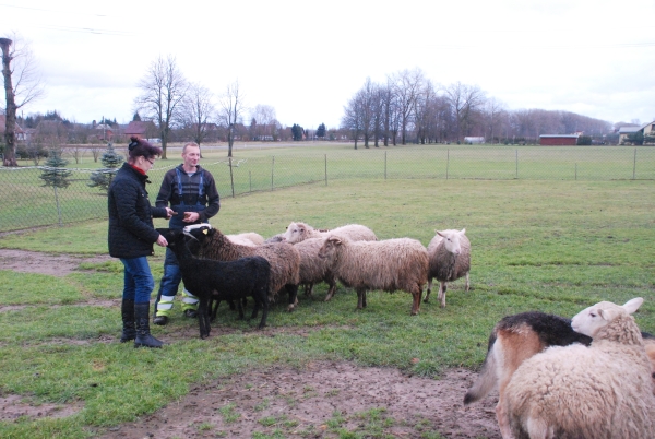 image016.jpg
