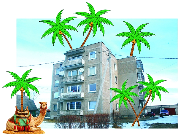 palmes2.jpg