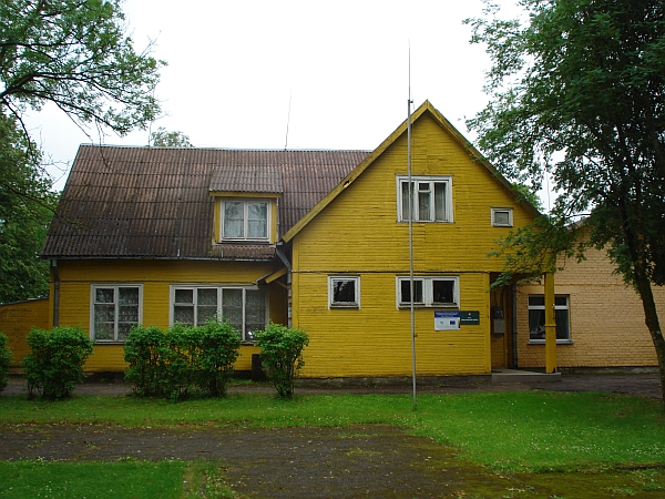 zib1_600.jpg