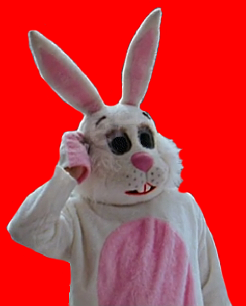 zuika.png